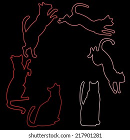 cat jumping on a black background