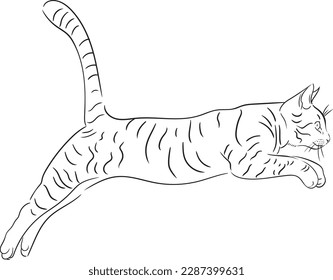 the cat jumps off the table