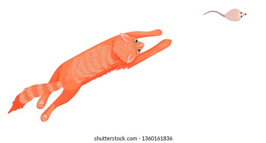 A cat jumps and runs after a mouse, a gray rodent, a pet, protects from rodents, a rat hunter, pets characters. View from above. Vector illustration of animals.