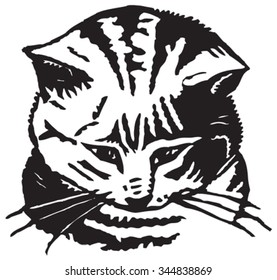 cat, kitten, black, white, engraving, drawing, looking, mustache, stripes, nose, eyes,  frowning, attentive, animals, pets, livestock, wool, live, vector, illustration, linocut, woodcut,  graphics
