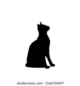 Cat kitten black and white icon silhouette