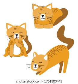 Cat or kitten character design set. Cute cartoon cats illustration.
