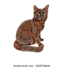 cat kitten cute fur nose funny animals meow wo wide neck vector design illustration print poster