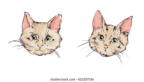 cat, kitten, cute cat set sketch vector illustration
