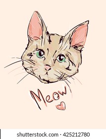 cat, kitten, cute cat sketch vector illustration
