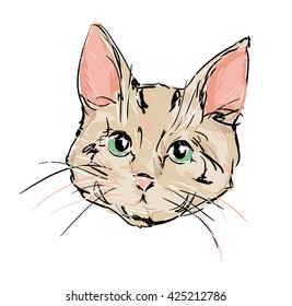 cat, kitten, cute cat sketch vector illustration

