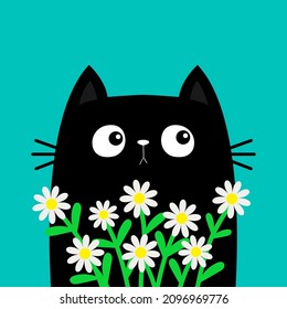 Cat kitten kitty holding daisy chamomile. Camomile flower bouquet. Happy Valentines Day. Cute cartoon kawaii funny animal. Love greeting card, tshirt print. Flat design. Blue background. Vector