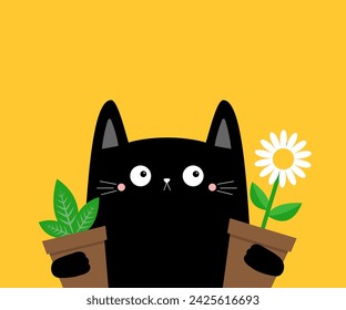 Cat kitten kitty holding daisy chamomile, green leaves plant. Flower pot. Camomile bouquet. Happy Valentines Day. Cute cartoon kawaii funny animal. Love card. Flat design. Yellow background. Vector