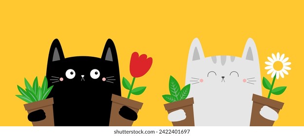 Cat kitten kitty set holding daisy chamomile, green leaves plant, red tulip. Flower pot. Camomile bouquet. Happy Valentines Day. Cute cartoon kawaii funny animal. Flat design. Yellow background Vector