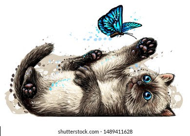 
Cat. A kitten is playing with a butterfly. Wall sticker with the image of a blue-eyed kitten catching a butterfly in a watercolor style.