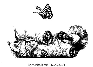 Cat. A kitten is playing with a butterfly. A wall sticker with the image of a Maine Coon kitten.	
