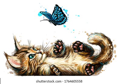 Cat  A kitten is playing and butterfly  Wall sticker and the image blue  eyed Maine Coon kitten catching butterfly in watercolor style 