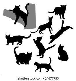 Cat  / Kitten silhouettes