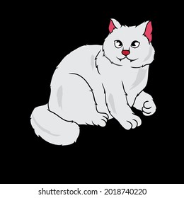 cat kitten sweet funny maine coon wo ank op design vector illustration for use in design and print poster canvas