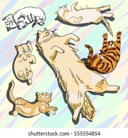 cat with kittens