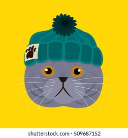 Cat with knitted beanie