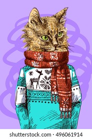 Cat in knitted sweater. Vector illustration for greeting card, poster, or print on clothes. Fashion Style drawing. Hipster.