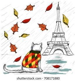 A cat in a knitted waistcoat looks at the Eiffel Tower. Autumn, falling leaves.