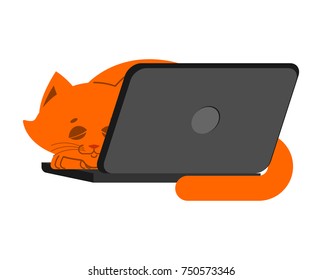 Cat and laptop. Home pet and keyboard. Does not work. Vector illustration
