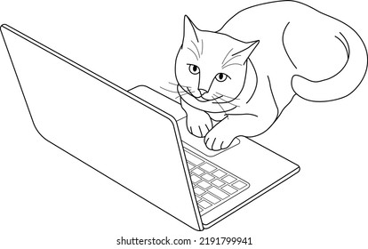 Cat with laptop in Linear vector illustration