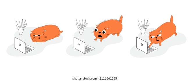 Cat and laptop. Set of vector illustrations about video games and movies to entertain bored cats