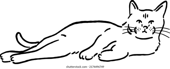 Cat lay down Animal in action Hand drawn Line art Illustration