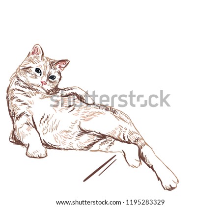 cat lay vector sketch illustration card isolated