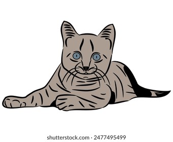 Cat laying down vector line illustration.