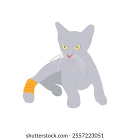 Cat Leg Surgery, Veterinary Flat Vector Illustration