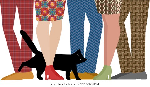 the cat in the legs