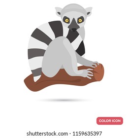 Cat lemur color flat icon