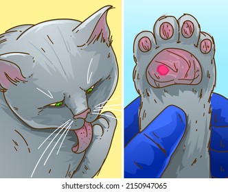 Cat licks his paw. Sore on the cat's paw. Visit to vet. Pet health problem. Illustration of the pet healthcare, veterinary illustration. Vector illustration.