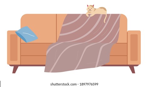 The cat lies on the back of the sofa. Soft couch covered with bedspread isolated on white background. Arrangement of furniture and layout of premises. The living room interior design element