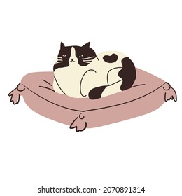 The cat lies on the pillow. The lazy animal is asleep. Relaxation, recreation, lifestyle. Lovely home pet. Flat style in vector illustration. Isolated on white background. Sweet life at cozy home.