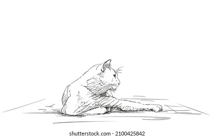 Cat lies resting with one paw outstretched vector sketch, Drawing of lazy cat