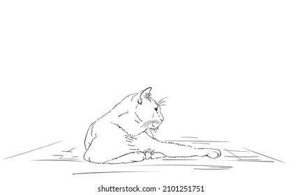 Cat lies resting with one paw outstretched vector sketch, Drawing of realistic cat coloring book page