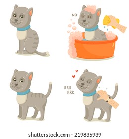 Cat life. Cute gray cat adventures