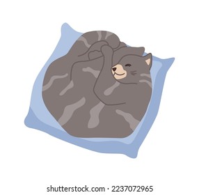 Cat life and habits, leisure of kitty character. Isolated kitten sleeping in bed. Domestic pet, feline animal resting and napping. Vector in flat style