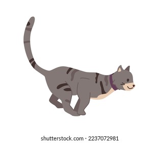 Cat life, isolated kitty with grey fur with spots running fast. Cute domestic pet portrait, active lifestyle and habits of feline animals. Vector in flat style