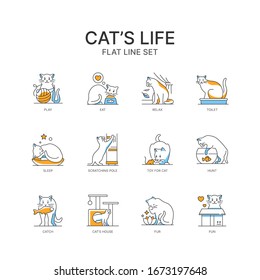 Cat life. Modern line design style icons set with blue and yellow color filling.