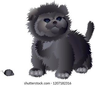 Cat like a bear and a dog
