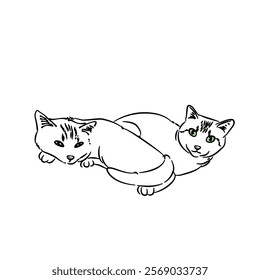 Cat line art with many pose - coloring book 