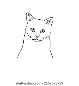 Cat line art with many pose - coloring book 