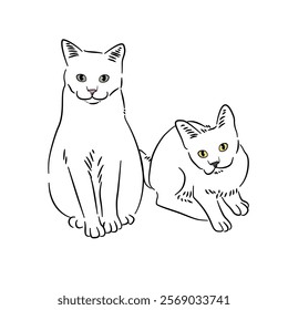 Cat line art with many pose - coloring book 