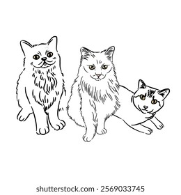 Cat line art with many pose - coloring book 