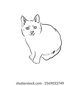 Cat line art with many pose - coloring book 