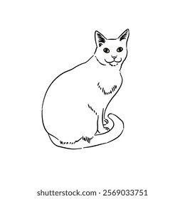 Cat line art with many pose - coloring book 