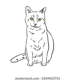 Cat line art with many pose - coloring book 