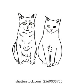 Cat line art with many pose - coloring book 