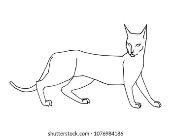 cat line art vector